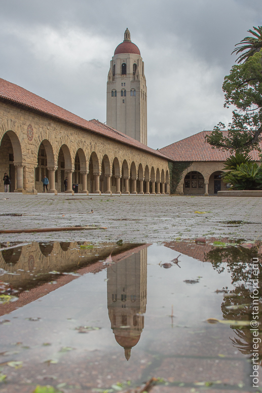 the quad